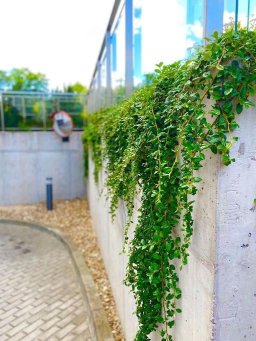 Appartement Smart Art :) Z Bezplatnym Parkingiem Podziemnym à Kielce Extérieur photo